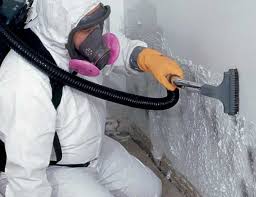 Best Crawl Space Mold Remediation  in Byram, MS